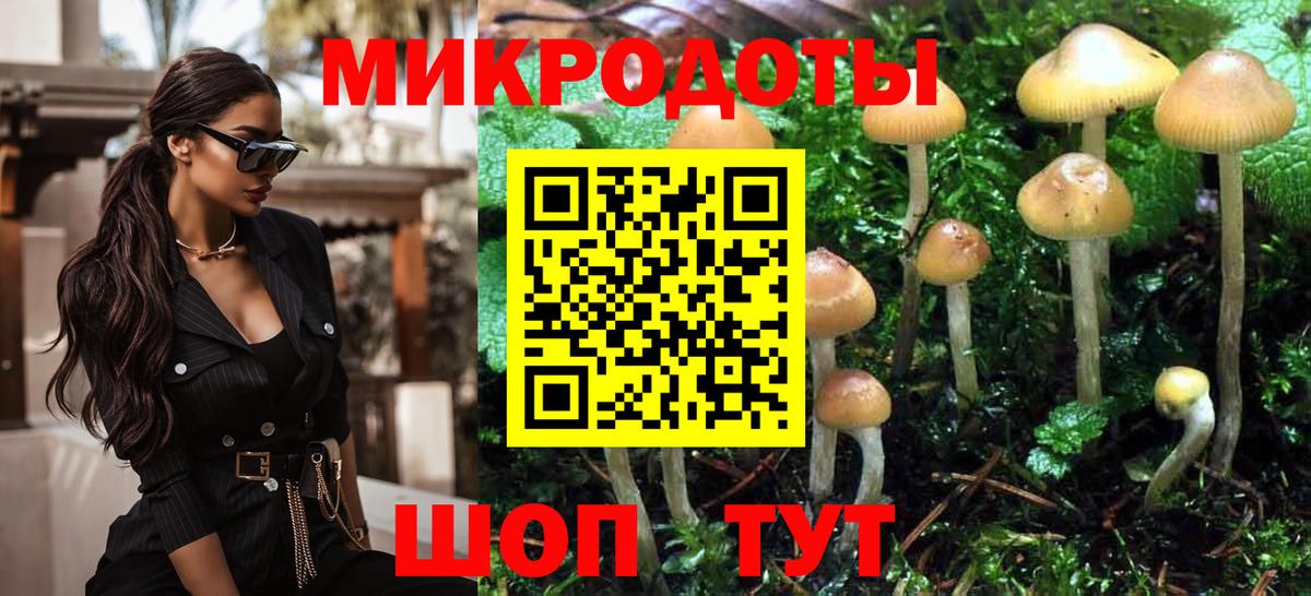 Кирово-Чепецк  Псилоцибиновые грибы Cubensis  Вход с VPN 